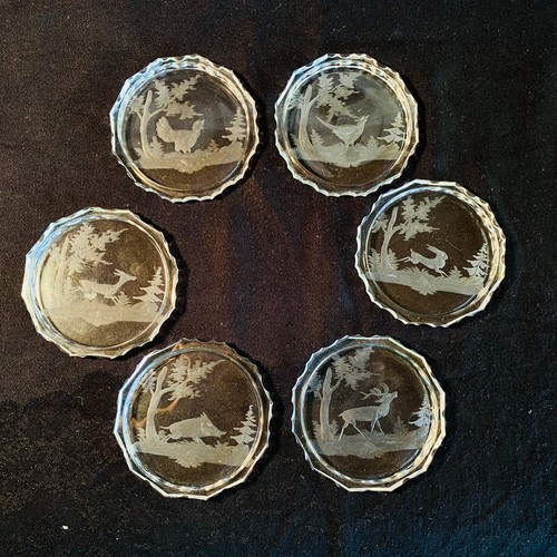 Untersetzer glas waldtiere - glas, 6