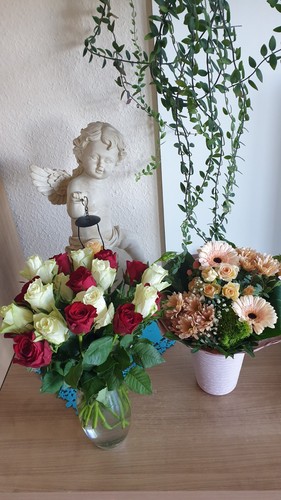 Blumenvasen und übertöpfe - blumenvasen,